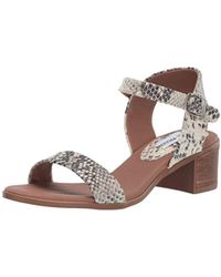 steve madden elita sandal