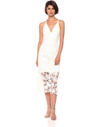 dress the population aurora lace tea length dress