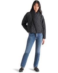 Steve Madden - Apparel Diarine Jacket - Lyst