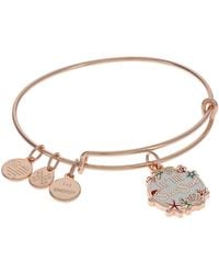 Alex and hotsell ani sun anklet