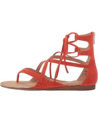 aerosoles scrapbook gladiator sandal