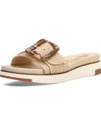 Sam Edelman - Ariane Sandal Eggshell 7 Medium - Lyst