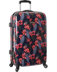 tommy bahama pink luggage