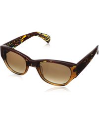Sunglasses Kensie inspire me Feathered Brown
