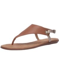aerosoles women's in conchlusion flat sandal