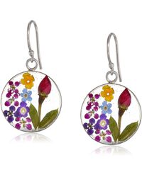 Amazon Essentials - Sterling Silver Multi-color Pressed Flower Circle Drop Earrings - Lyst