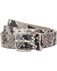 Vince - 1 Inch Flat Snake Print Belt With Metal Loop - Lyst
