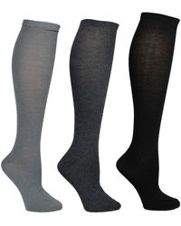 Steve Madden Legwear 3PK Marled Knee High SM45170 - Blau