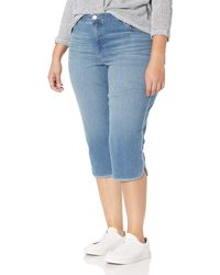bandolino shorts plus size