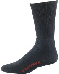 Wolverine - 2 Pack Steel Toe Cotton Mid Calf Sock - Lyst
