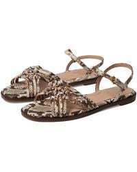 Cole Haan - Jitney Knot Sandals (Sandollar Soho Snake Prnt Leather) Sandals - Lyst