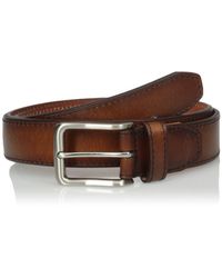 fossil griffin belt