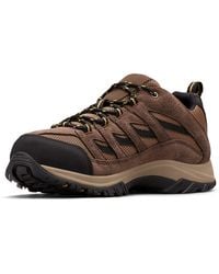 Columbia - , Crestwood Hiking Sneaker - Lyst