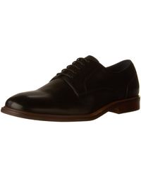 steve madden biltmore oxford