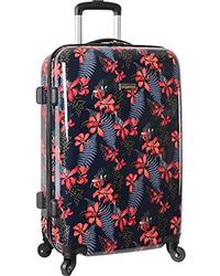 tommy bahama luggage set