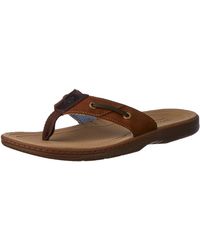 sperry men's baitfish thong sandal