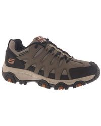 skechers skyline olive