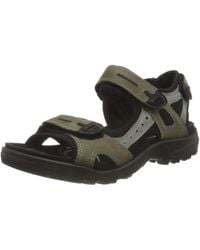ecco mens sandals