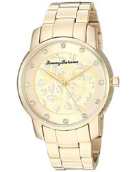 tommy bahama womens watches