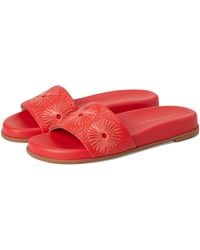 Jack Rogers - Somerset Slide-nappa/raffia Sandal - Lyst