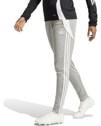 adidas - Size Tiro 24 Training Pants - Lyst