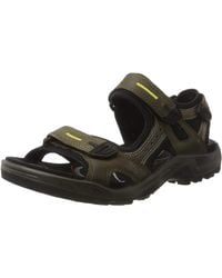 sandales homme ecco