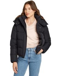 Calvin Klein - 's Short Matte Puffer Jacket With Hood - Lyst