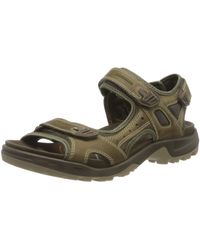ecco shoes mens sandals