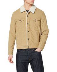 levis denim jacket mens uk