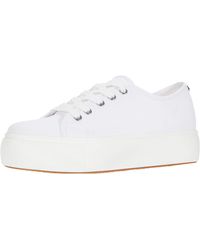 steve madden elore