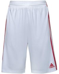 adidas - Essential 3.0 S Basketball Sports Training Shorts - Lyst