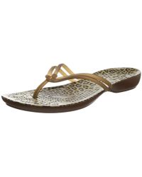 hollister flip flops amazon