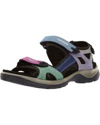 Ecco gold sandals Clearance