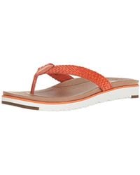 ugg lorrie ugg lorrie
