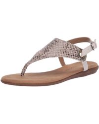 aerosoles women's in conchlusion flat sandal
