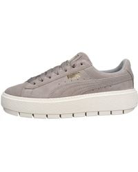 platform trace animal puma