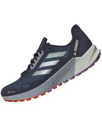 adidas Terrex Agravic Flow 2 Gtx Sneaker - Blauw