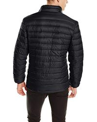 buffalo david bitton jacket price