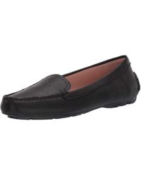 taryn rose karen loafer