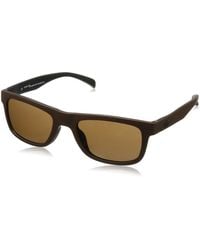 adidas - Sonnenbrille Aor005 Ba7005 Sunglasses - Lyst
