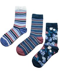 Ted Baker - Maxfour Ladies Socks Set 3pack Assorted Colours - Lyst