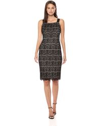 coast jade lace midi dress