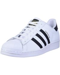 maroon shell toe adidas