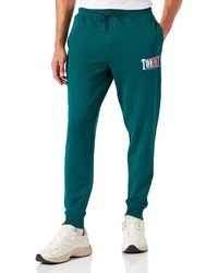 Tommy Hilfiger - Tommy Jeans Tjm Slim Essential Graphic Pant Knit Pants - Lyst