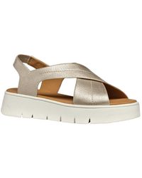 Geox - D DANDRA 40 A - Lyst