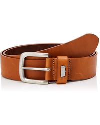 levis stinson belt