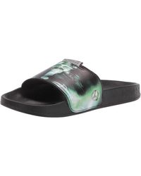 Mercedes-amg Petronas Leadcat Slides 