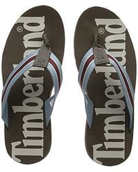 dottor martens opache