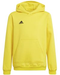 adidas - Entrada 22 Sweat Hoodie -kind Sweatshirt,team Yellow/black,116 - Lyst