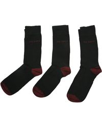 Ted Baker - London Burgy Three Pack Pair Pack Of S Ankle Socks Organic Cotton Black And Burgundy Size 7-11 - Lyst